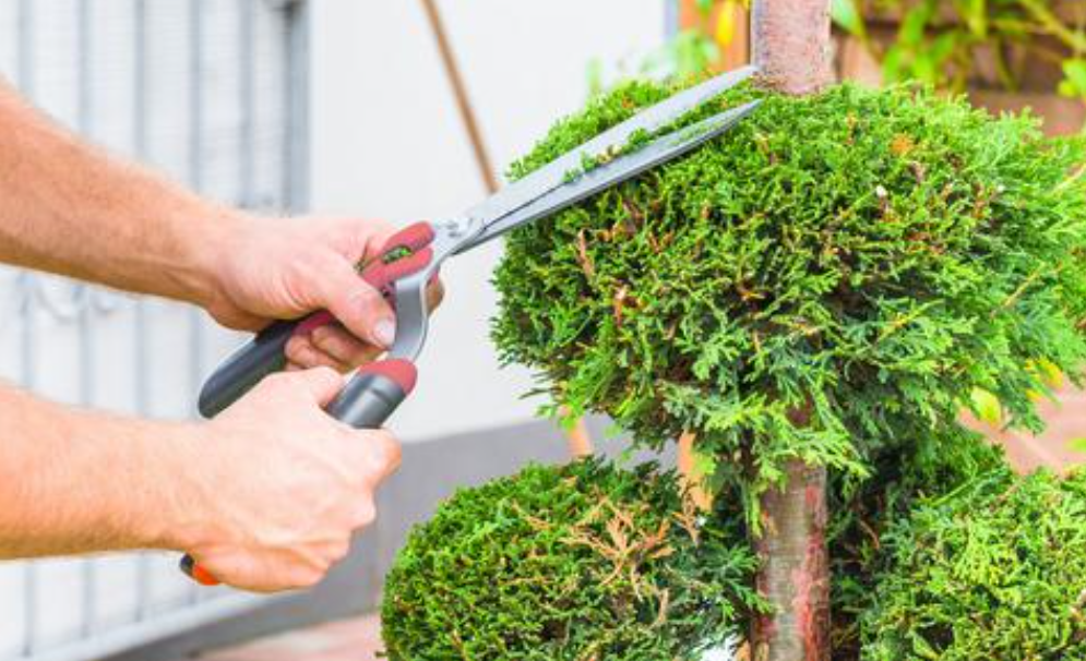 גידור דלתא דינמי