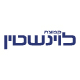 Levinstein ENG logo